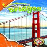 Everyday Engineering Bridges, Chris Bowman
