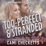 Her Too-Perfect Boss, Cami Checketts