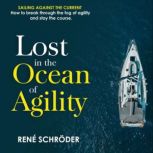 Lost in the Ocean of Agility, Rene Schroeder