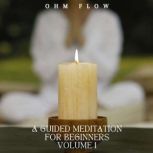A Guided Meditation for Beginners  V..., Ohm Flow