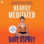 Heavily Meditated, Dave Asprey