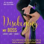 Disobeying My Boss, Summer Brooks