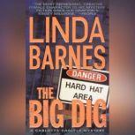 The Big Dig, Linda Barnes