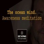 The ocean mind awareness meditation ..., Stuart Newman