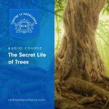 The Secret Life of Trees, Centre of Excellence