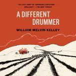 A Different Drummer, William Melvin Kelley