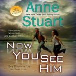 Now You See Him, Anne Stuart