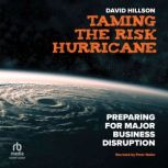 Taming the Risk Hurricane, David Hillson