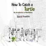 How to Catch a Turtle, David S Franklin