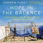 Hope in the Balance, Andrew Furey