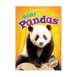 Baby Pandas, Bethany Olson