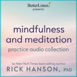 Mindfulness and Meditation Practice A..., Rick Hanson