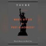 Whos Afraid of PostBlackness?, Toure