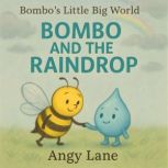 Bombo And The Raindrop, Angy Lane