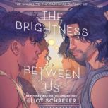 The Brightness Between Us, Eliot Schrefer