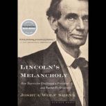 Lincoln's Melancholy How Depression Challenged a President and Fueled His Greatness, Joshua Wolf Shenk