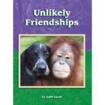 Unlikely Friendships, Judith Lipsett