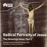 Radical Portraits of Jesus The Historical Jesus, Part 2, David Z. Flanagin