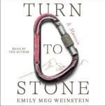 Turn to Stone, Emily Meg Weinstein