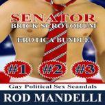 Senator Brick Scrotorum Erotica Bundle Gay Political Sex Scandals, Rod Mandelli