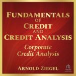 Fundamentals of Credit and Credit Ana..., Arnold Ziegel