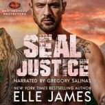 SEAL Justice, Elle James
