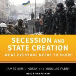 Secession and State Creation, Mikulas Fabry