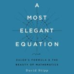 A Most Elegant Equation, David Stipp