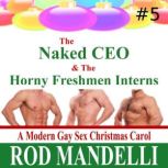 The Naked CEO  The Horny Freshmen In..., Rod Mandelli