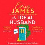 An Ideal Husband, Erica James