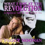 What I Saw at the Revolution, Peggy Noonan