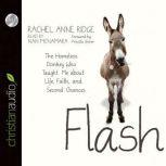 Flash The Homeless Donkey Who Taught Me about Life, Faith, and Second Chances, Rachel Anne Ridge