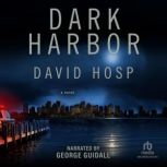 Dark Harbor, David Hosp