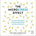 The Microstress Effect, Rob Cross