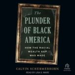 The Plunder of Black America, Calvin Schermerhorn