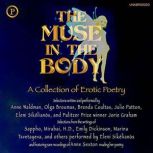 The Muse in the Body, Catherine Barnett