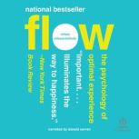 Flow, Mihaly Csikszentmihalyi