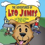 The Adventures of Leo James, Brien Perry