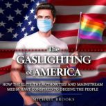 The Gaslighting of America, Michael Brooks