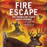 Fire Escape, Jessica Stremer