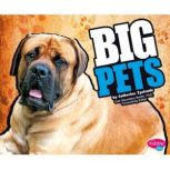 BIG Pets, Catherine Ipcizade