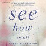 See How Small, Scott Blackwood