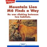 Mountain Lion M6 Finds a Way, Nina Kidd
