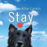 Stay, Allie Larkin