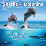 Sharks and Dolphins, Kevin Kurtz