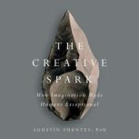 The Creative Spark How Imagination Made Humans Exceptional, AgustA­n Fuentes