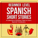 Beginner Level Spanish Short Stories, Fluency Pro