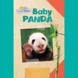 Active Minds Explorers Baby Panda, Ellen Lawrence