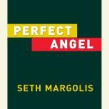 Perfect Angel, Seth Margolis