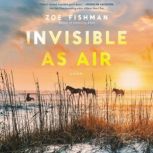 Invisible as Air A Novel, Zoe Fishman